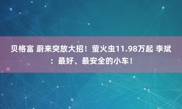 贝格富 蔚来突放大招！萤火虫11.98万起 李斌：最好、最安全的小车！