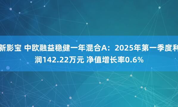新影宝 中欧融益稳健一年混合A：2025年第一季度利润142.22万元 净值增长率0.6%