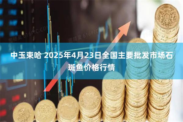 中玉束哈 2025年4月23日全国主要批发市场石斑鱼价格行情