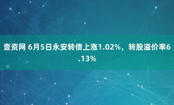 壹资网 6月5日永安转债上涨1.02%，转股溢价率6.13%
