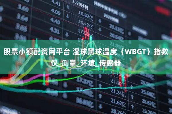 股票小额配资网平台 湿球黑球温度(WBGT)指数仪_测量_环境_传感器