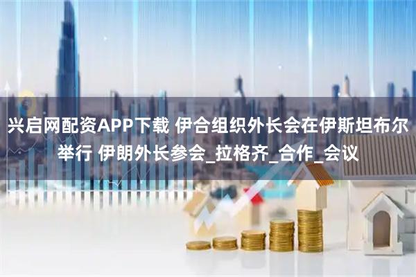 兴启网配资APP下载 伊合组织外长会在伊斯坦布尔举行 伊朗外长参会_拉格齐_合作_会议
