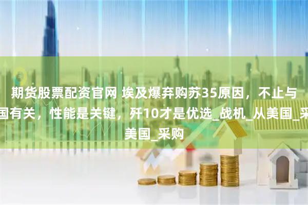 期货股票配资官网 埃及爆弃购苏35原因，不止与美国有关，性能是关键，歼10才是优选_战机_从美国_采购